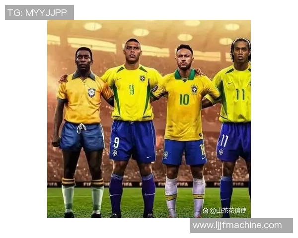 足球球星李的传奇之路与辉煌成就揭秘