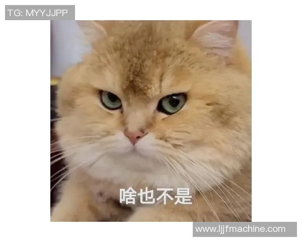 足球直播猫猫带你畅享全球赛事精彩瞬间与实时互动体验